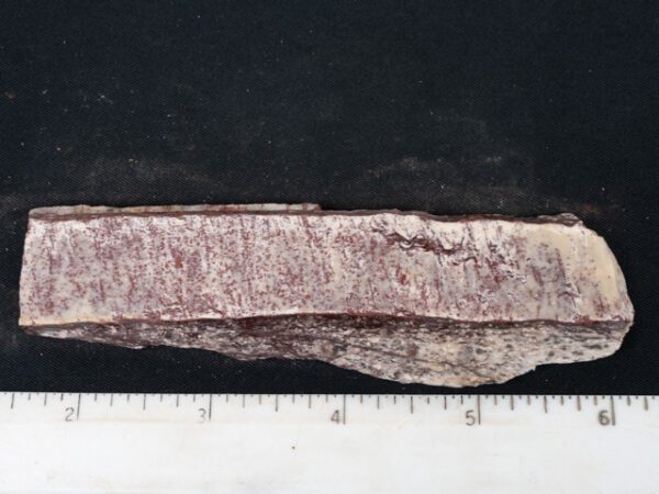 USLAB125