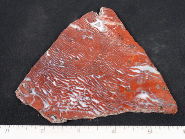 USLAB159