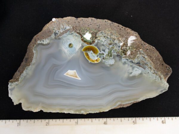 VAR141