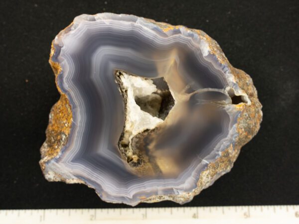 VAR161