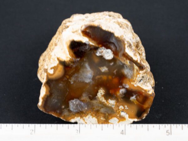 VAR293