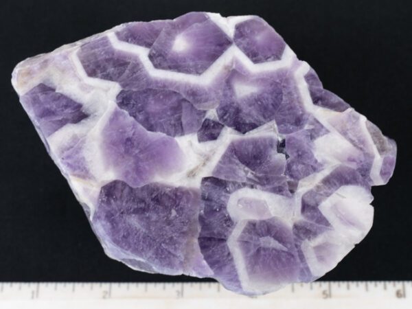 VAR294