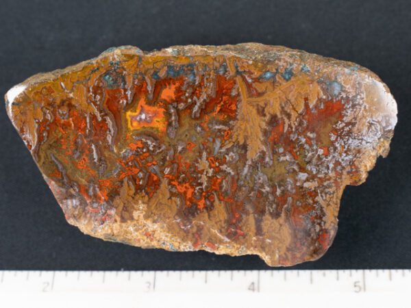 VAR298