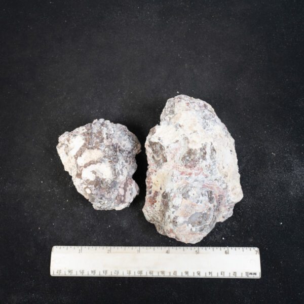 Baker Ranch Agate Nodules