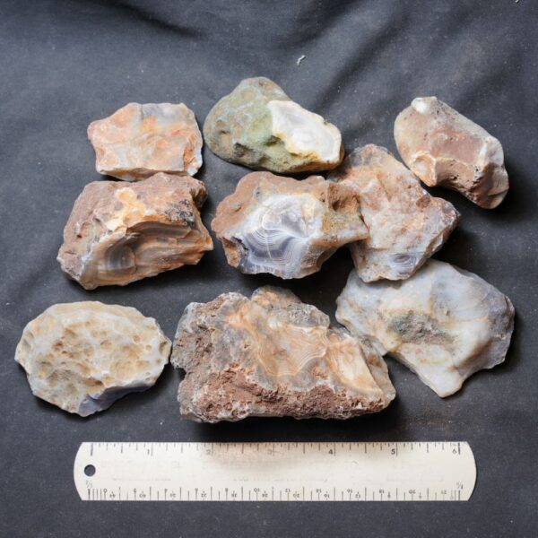 Botswana Agate Nodules