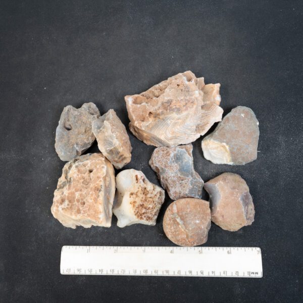 Botswana Agate Nodules