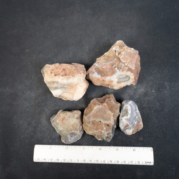 Botswana Agate Nodules