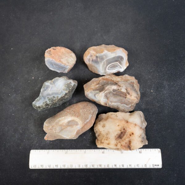 Botswana Agate Nodules