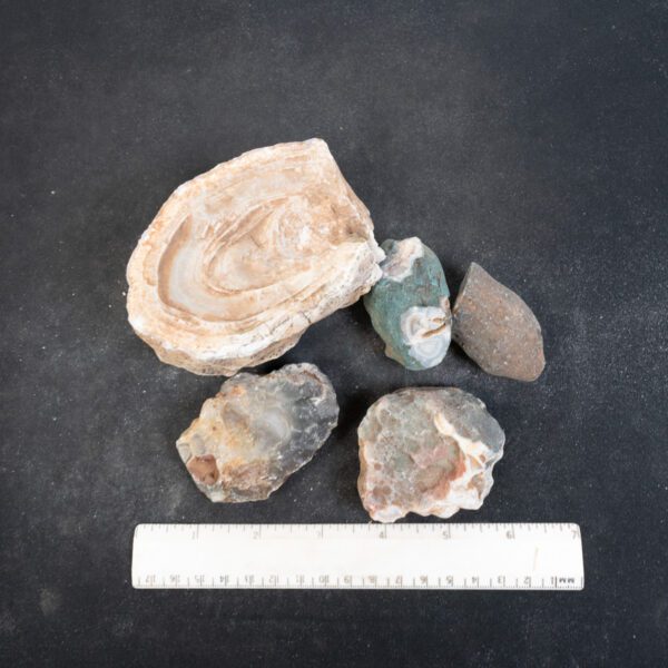Botswana Agate Nodules