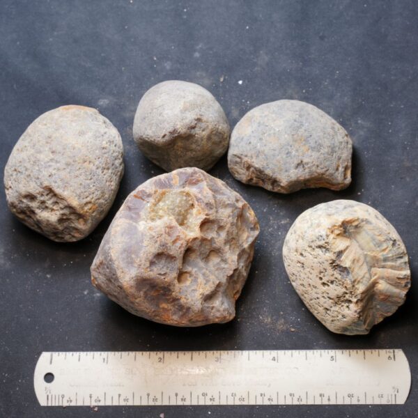 Brazilian Agate Nodules