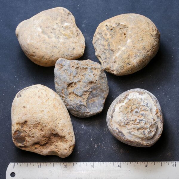 Brazilian Agate Nodules