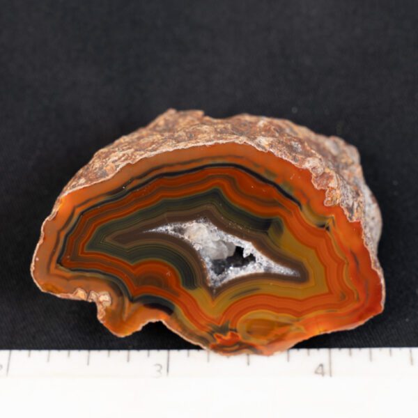 Condor Agate