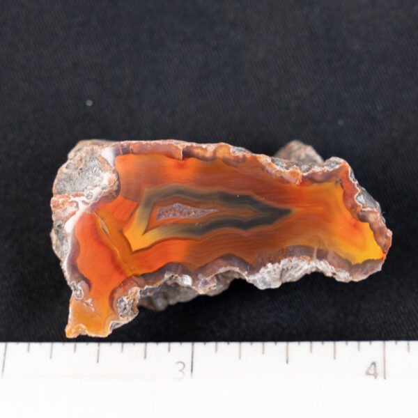 Condor Agate