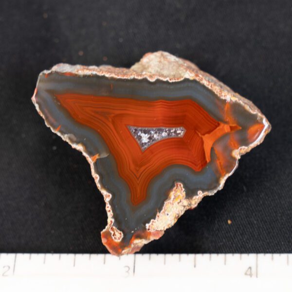 Condor Agate