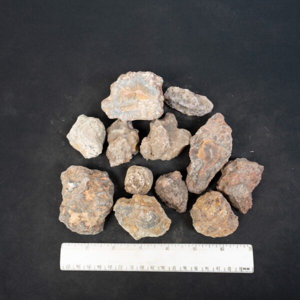 Condor Agate Nodules