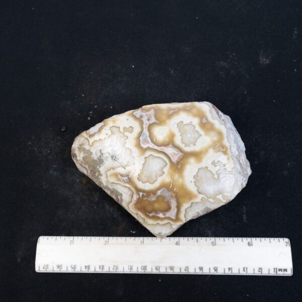 Tumble Ready Crazy Lace Agate