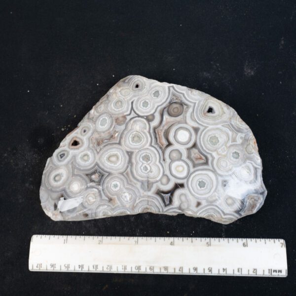 Tumble Ready Crazy Lace Agate