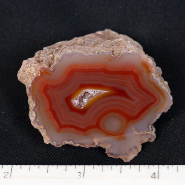 Laguna Agate