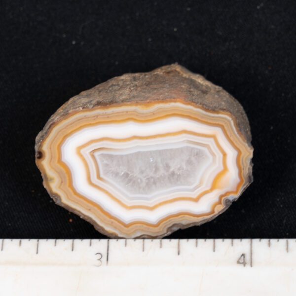 Laguna Agate