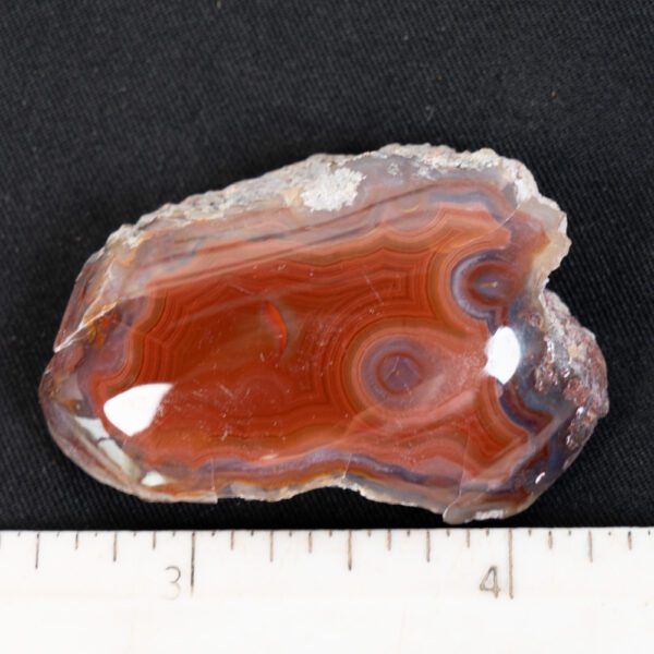 Laguna Agate