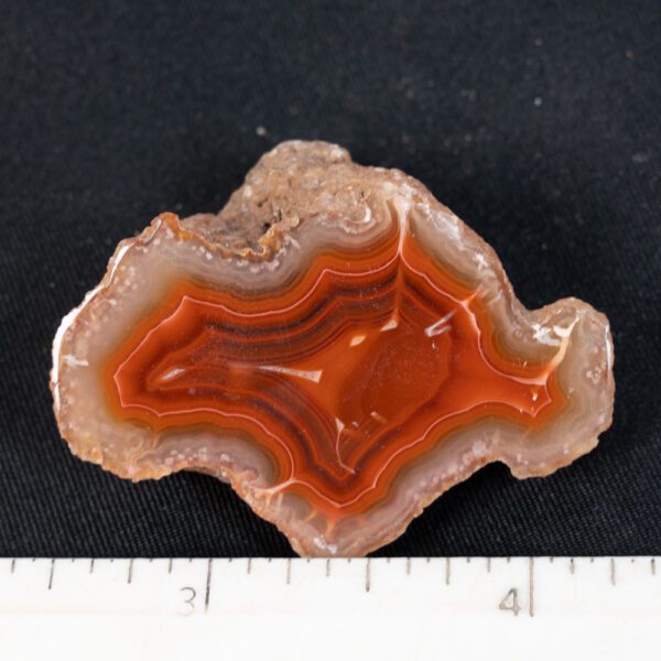 Laguna Agate