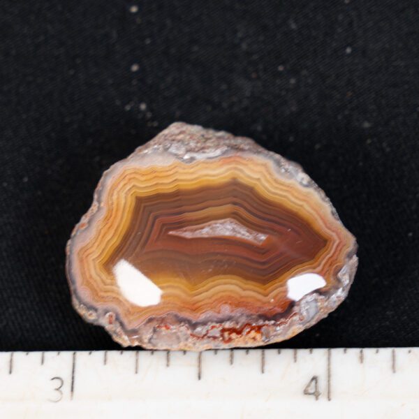 Laguna Agate