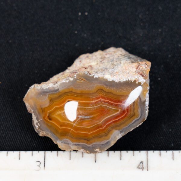 Laguna Agate