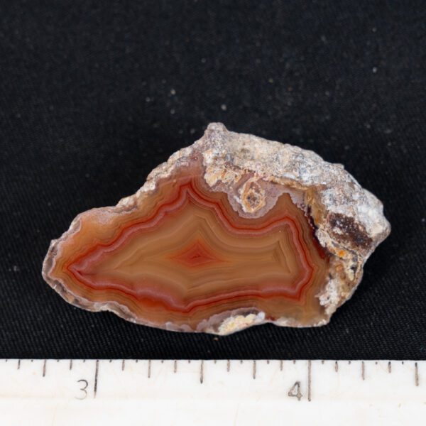 Laguna Agate