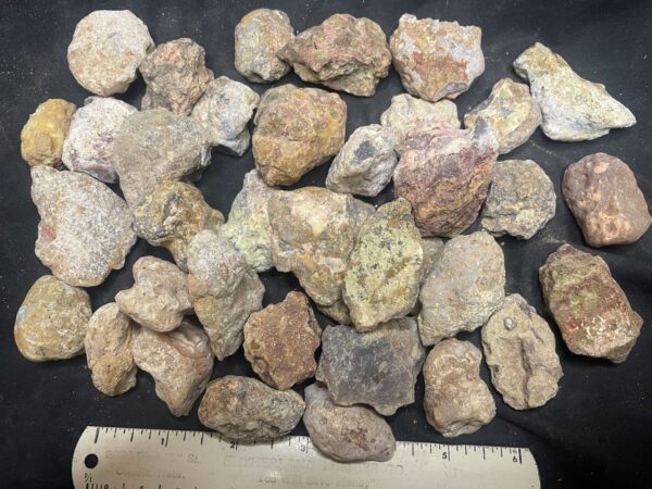 Laguna Agate Nodules