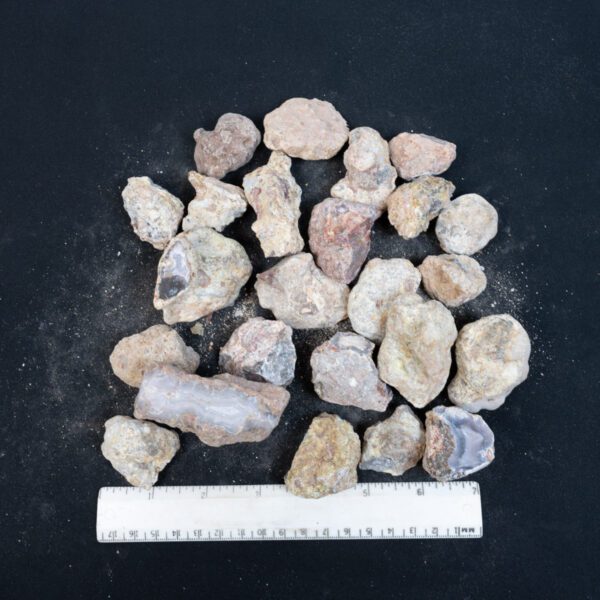 Laguna Agate Nodules