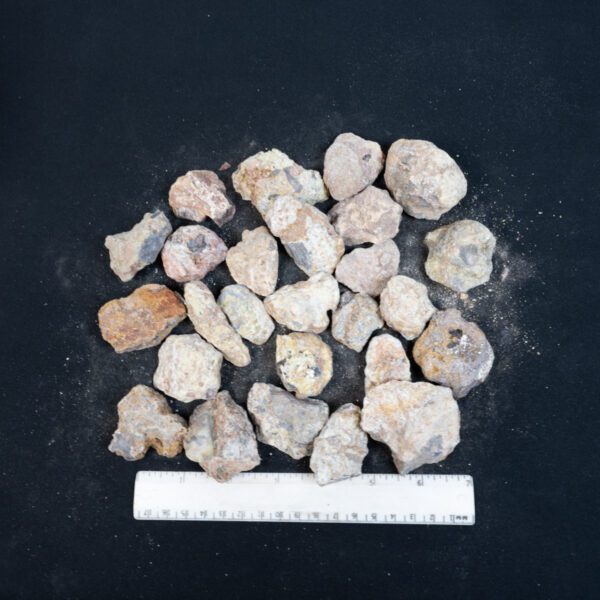 Laguna Agate Nodules