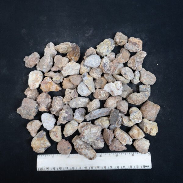 Laguna Agate Nodules