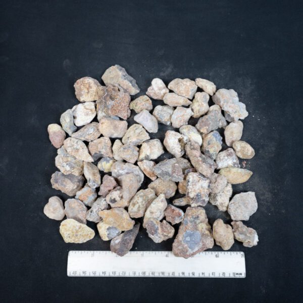Laguna Agate Nodules