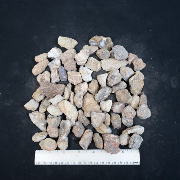 Laguna Agate Nodules
