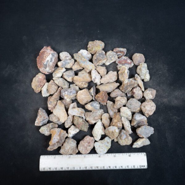 Laguna Agate Nodules