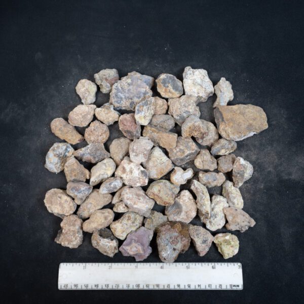 Laguna Agate Nodules