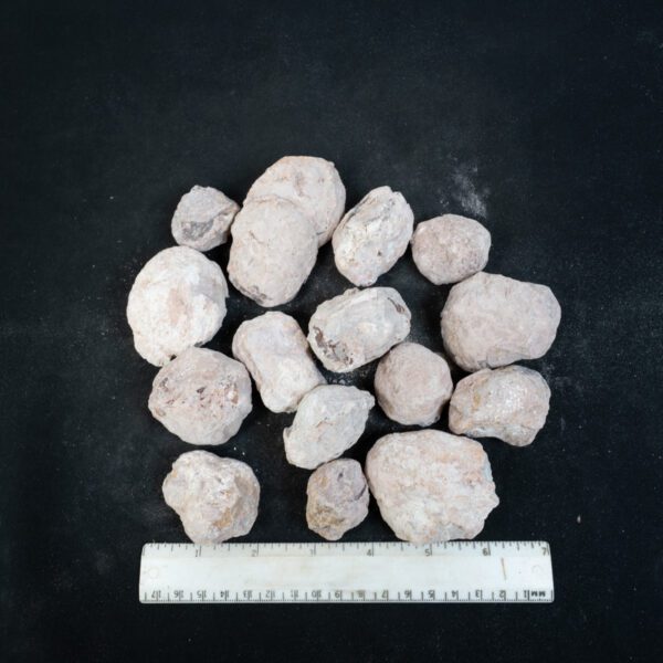 Laguna-like Thunderegg Nodules