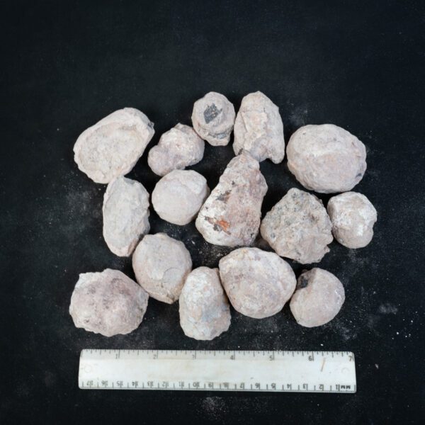 Laguna-like Thunderegg Nodules