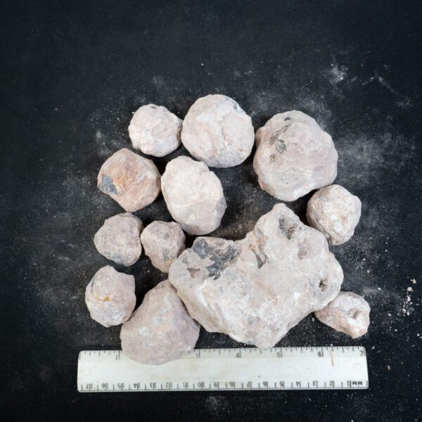Laguna-like Thunderegg Nodules