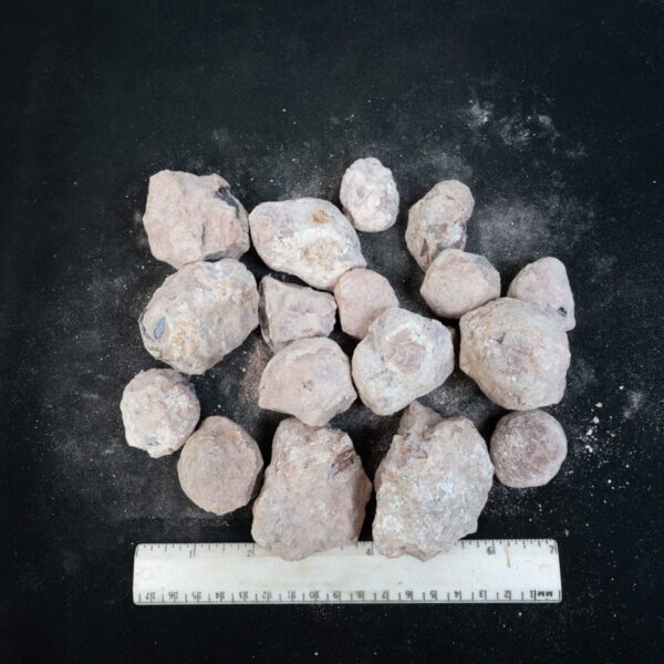Laguna-like Thunderegg Nodules