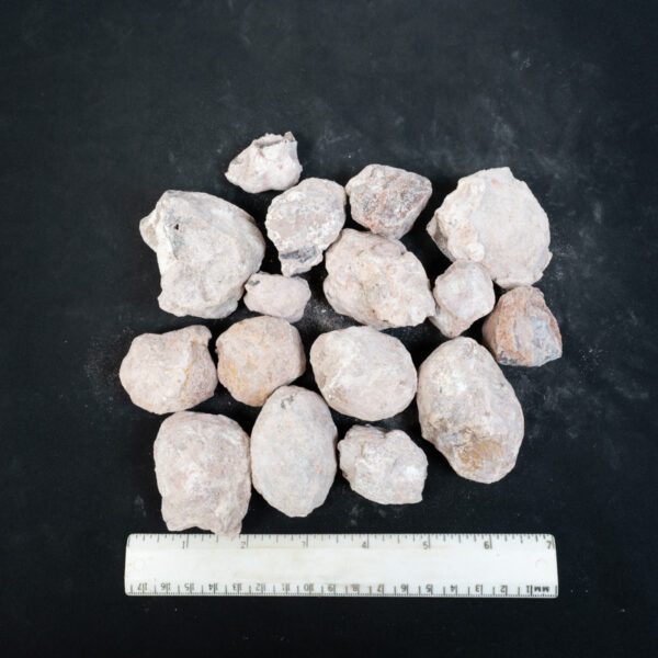 Laguna-like Thunderegg Nodules