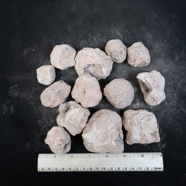 Laguna-like Thunderegg Nodules