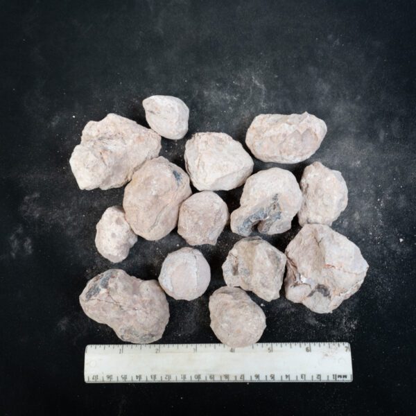 Laguna-like Thunderegg Nodules