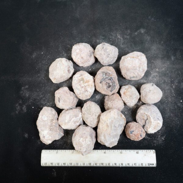 Laguna-like Thunderegg Nodules