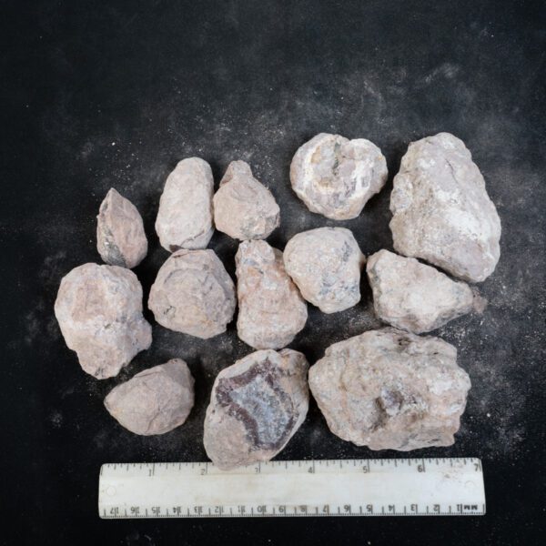 Laguna-like Thunderegg Nodules