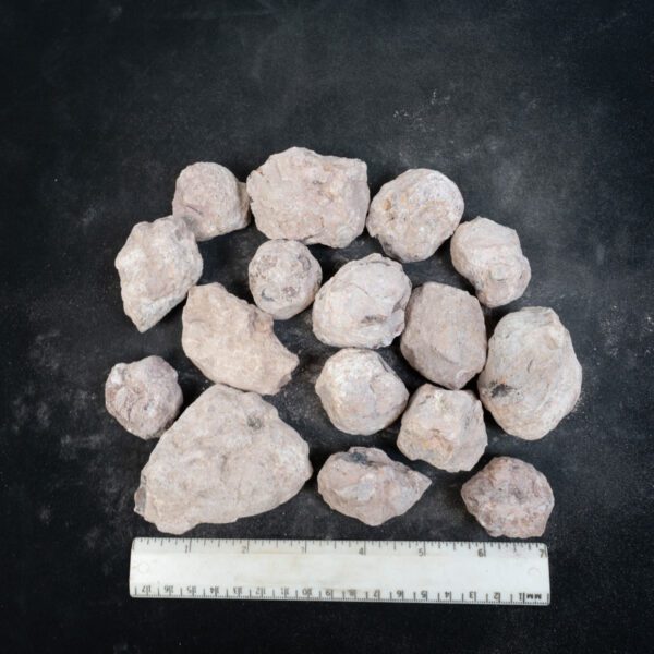 Laguna-like Thunderegg Nodules