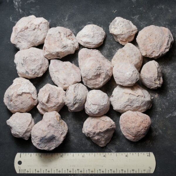 Laguna-like Thunderegg Nodules