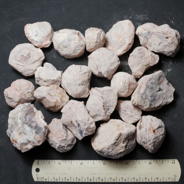 Laguna-like Thunderegg Nodules