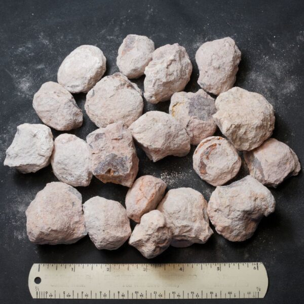 Laguna-like Thunderegg Nodules