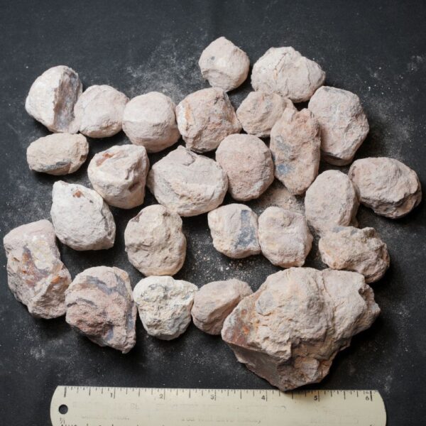 Laguna-like Thunderegg Nodules